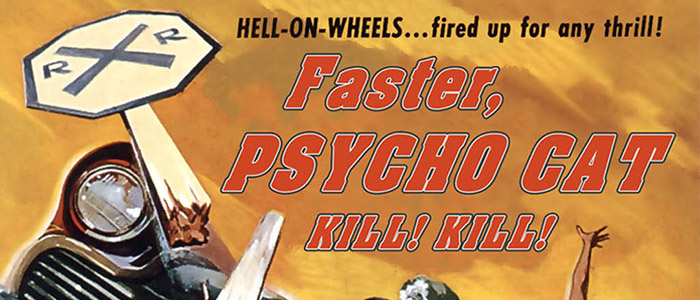 Faster Psycho Cat – Kill! Kill! – DVD